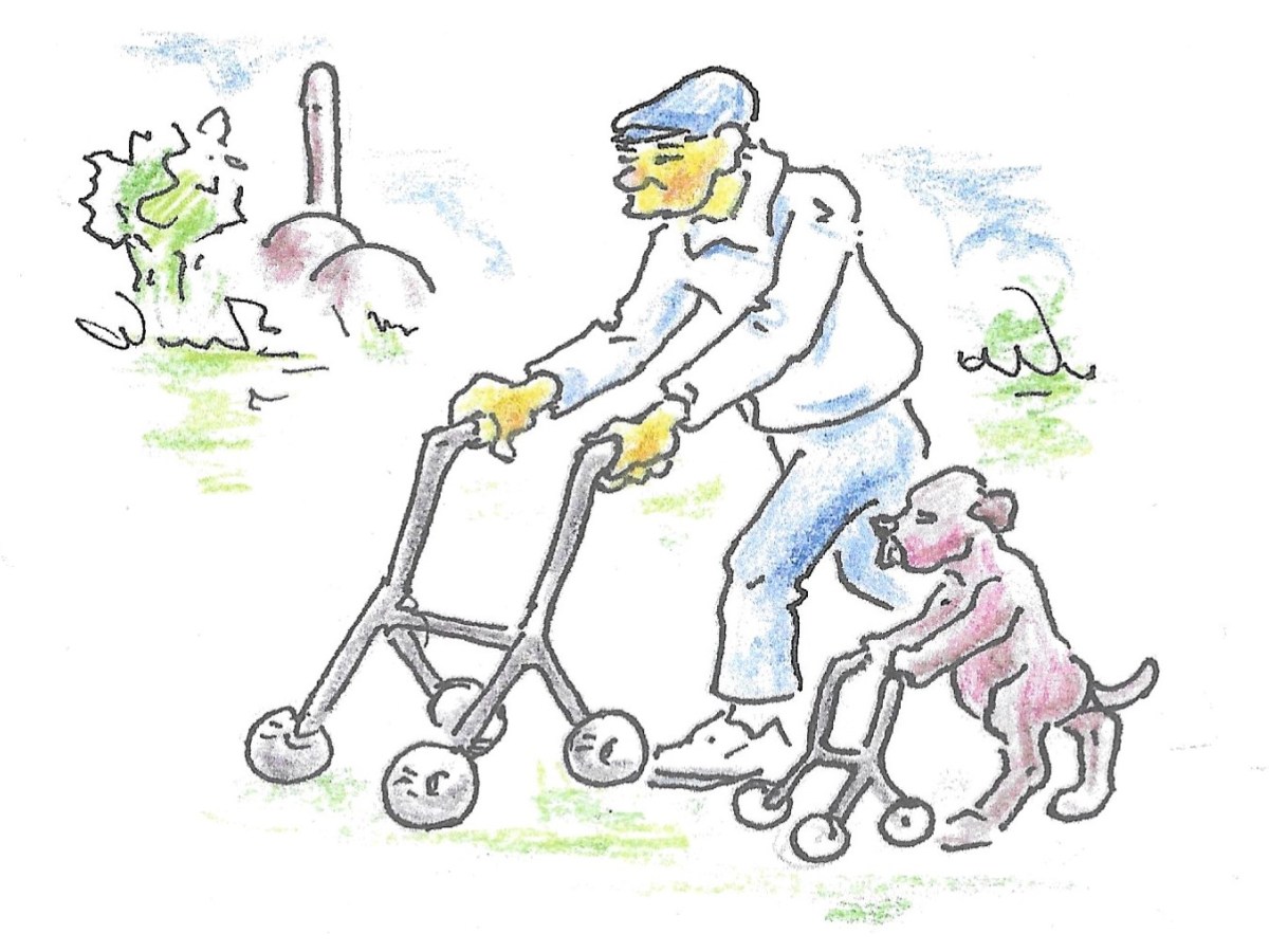 Langstraotse Praot 37: Iedereên wil oud worre mer niemand wil ’t&nbsp;zijn