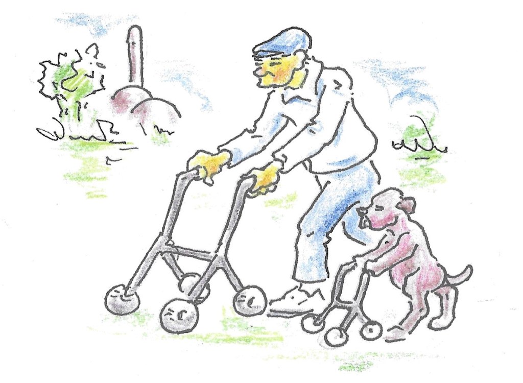 Langstraotse Praot 37: Iedereên wil oud worre mer niemand wil ’t&nbsp;zijn