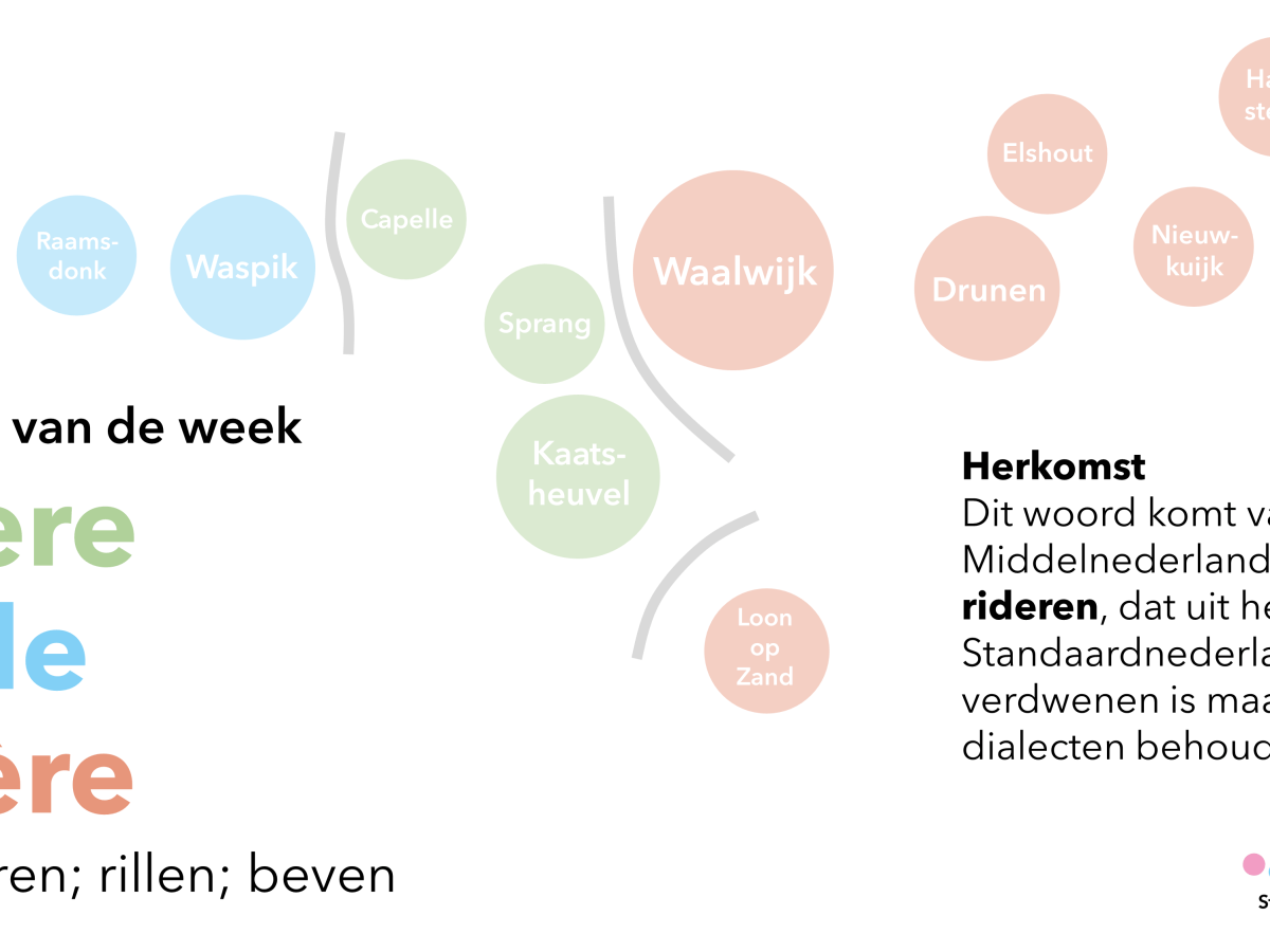 Woord van de week: rijere / raile /&nbsp;rèère