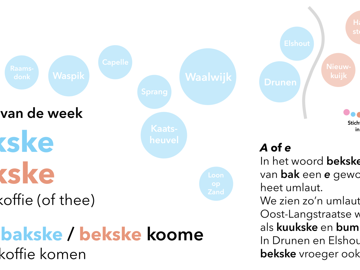 Woord van de week: bakske / bekske