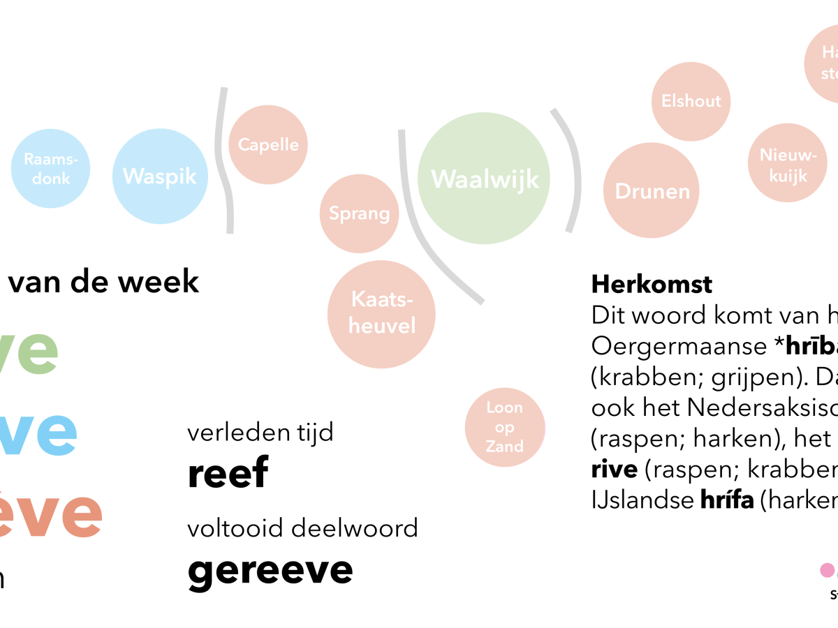 Woord van de week: rijve / raive /&nbsp;rèève