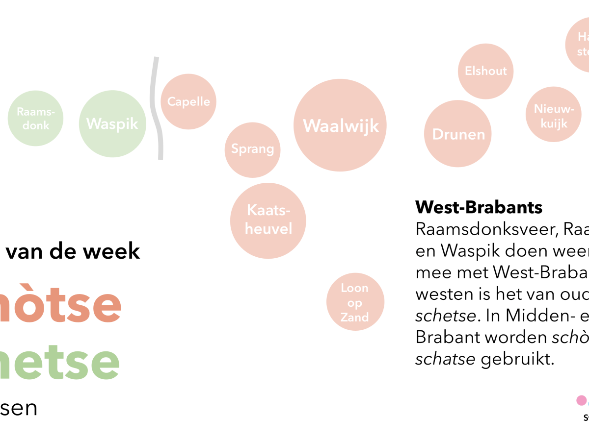 Woord van de week: schetse &&nbsp;schòtse
