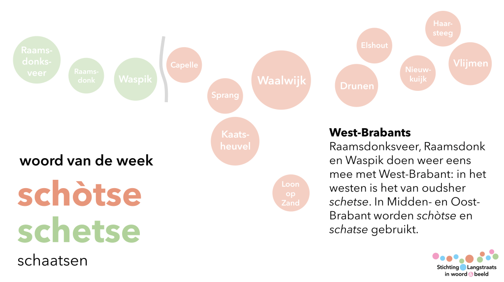 Woord van de week: schetse &&nbsp;schòtse
